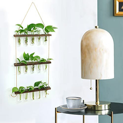 XXXFLOWER Wooden Stand with Test Tube Propagation Station Rack Desktop Hydroponics Terrarium Wall Terrarium for Home Office Plant Hanger Flower Vases Wall Decor Hydroponic Cuttings