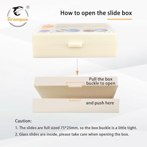 30 Prepared Microscope Slides with Specimens for Kids Students - Insects, for Biological Science Lab, Children's Science Education, Homeschooling Use - style: 30PCS Insects