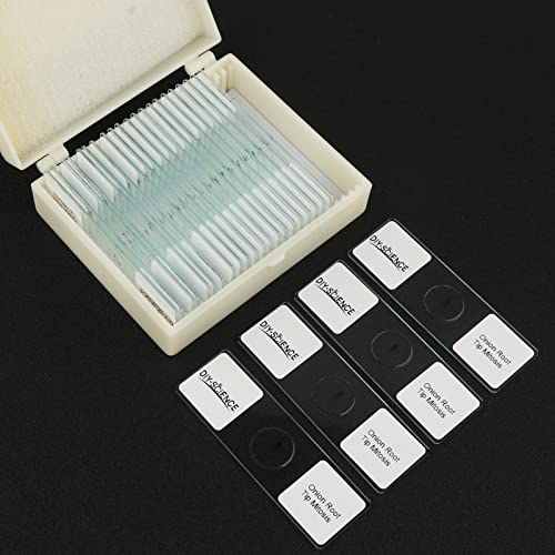 Onion Root Tips Mitosis Microscope Slides Set, 25PCS Pack Slides Show Plant Mitosis for Biology Science Class (25 Count) - color: 25 count