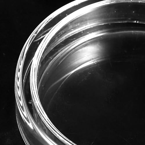 Baluue Glass Petri Dishes High Borosilicate Cell Culture Dishes 2.55 inch Clear Laboratory Supplies Set of 5 Stackable Petri Dish Glass for School Experiments Biology Microbiology Lab Analysis