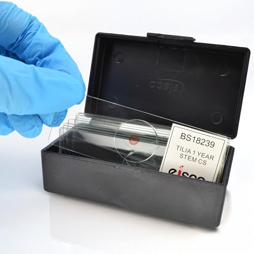 Eisco - 10 Pack Prepared Microscope Slides of Tilia Stem Cross Section 1-Year Dicot 25x77mm Glass for Structure-Function Study in Storage Box