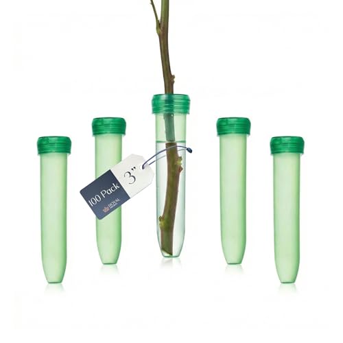 Royal Imports Floral Water Tubes with Caps – 3" Green Flower Vials 100 Pack - color: 3" Green-standard 100 Pack