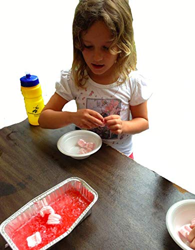 Young Scientists Series - Surface Tension, Polymers, Famous Scientists & Their Experiments - style: Set 12