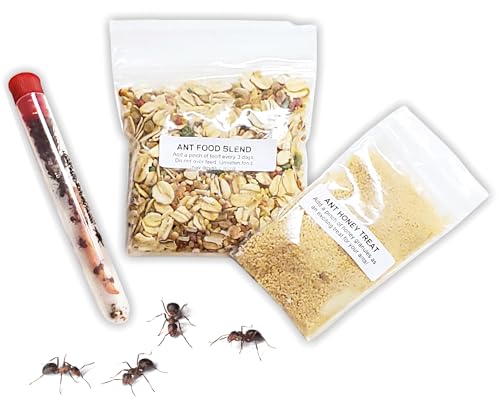 25 Live Ants for Ant Farms (1 Tube), Honey Treat and Premium Ant Food - style: 25 Live Ants +Honey+Food