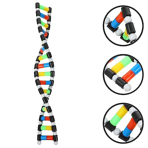 Generic DNA Model Double Helix Model Removable Molecular Kit for Science Class Biology Classroom Display Science Models for Students and Learning