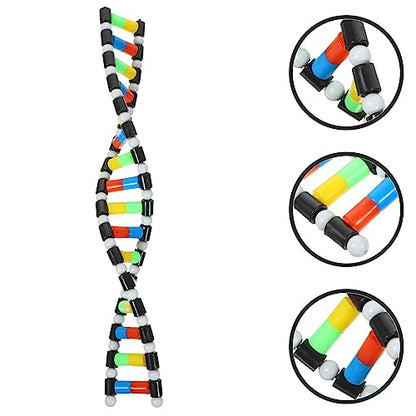 Generic DNA Model Double Helix Model Removable Molecular Kit for Science Class Biology Classroom Display Science Models for Students and Learning
