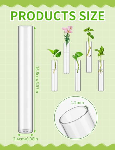 16 Tube Glass Plant Propagation Stations Clear Glass Test Tubes - color: Clear 16 Pcs