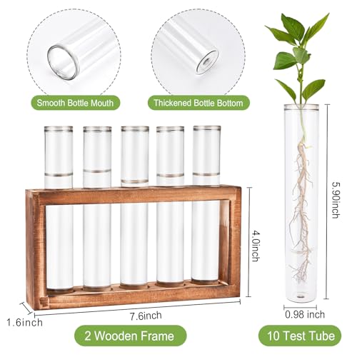 Tigvio 2pcs Desktop Glass Plant Propagation Station (10 Tubes) - size: 10 Tubes