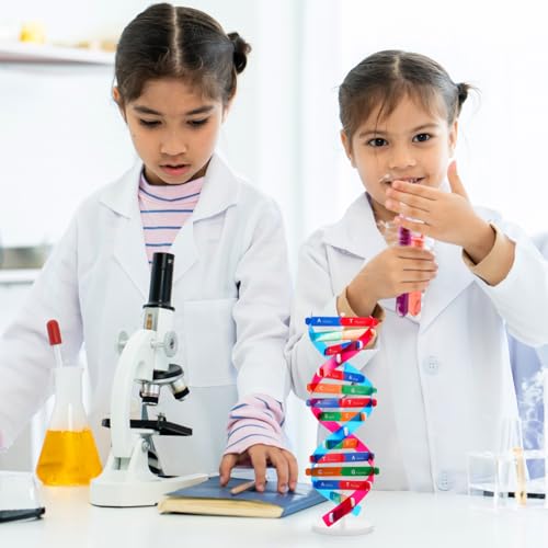 Abaodam Educational DNA Model with Display Stand Double Helix Science Kit for Kids Interactive DIY Genetic Structure Learning Toy Biology Model 14.56In