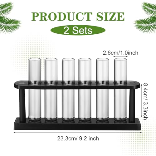Meanplan 12 Plant Test Tube with 2 Propagated Plant Holders, Test Tube Vase