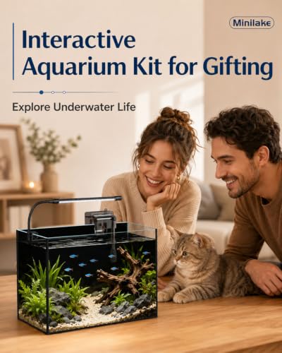 5 Gallon Glass Aquarium Starter Kit, Rimless Fish Tank - color: Black, size: 5 Gallon