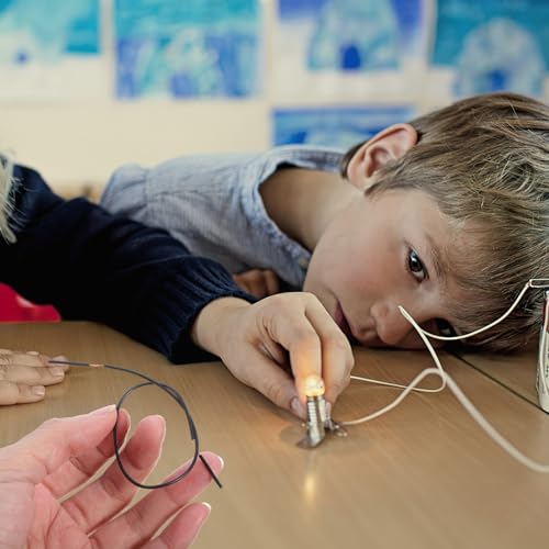 SEWACC 100pcs Interconnect Circuit Wire Physics Laboratory Electricity Connection Wire Black - color: Black