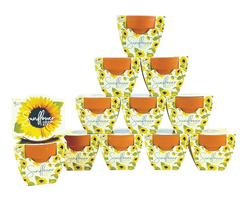BUZZY Seeds Sunflower Grow Kit 12-Pack, Terracotta Pots, Indoor Garden - color: 12pk Sunflower
