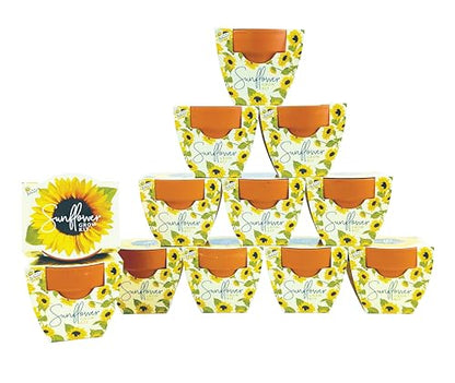 BUZZY Seeds Sunflower Grow Kit 12-Pack, Terracotta Pots, Indoor Garden - color: 12pk Sunflower