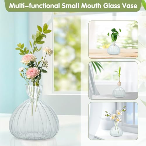 Large Avocado Grow Vase Glass Striped Acorn Seed Starter Vase for Growing - size: 1PCS Striped 5.9*5.9*1.96inch