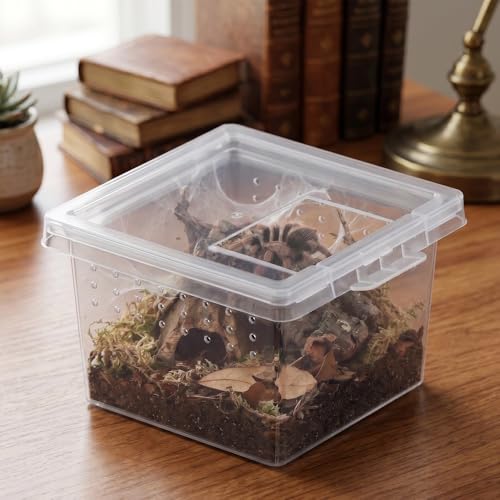 10 Pcs Insect Spider Terrariums Breeding Box Hatching Container Small Reptile Scorpion Centipede Acrylic Breeding Box (Small Size)