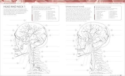 The Human Body Coloring Book: The Ultimate Anatomy Study Guide, Second Edition (DK Human Body Guides)