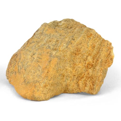 EISCO Raw Dolostone, Sedimentary Rocks - Approx. 1" - Geologist Selected & Hand Processed - Great for Science Classrooms