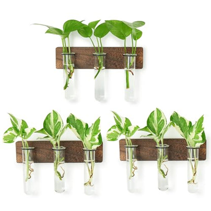 XXXFLOWER Wall Mounted Plant Terrarium with Wooden Stand 3 PCS - size: 9 Glass Tubes with Ring