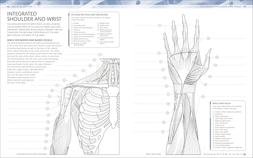 The Human Body Coloring Book: The Ultimate Anatomy Study Guide, Second Edition (DK Human Body Guides)