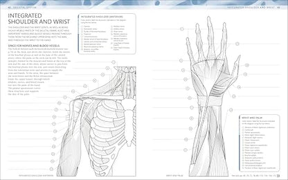 The Human Body Coloring Book: The Ultimate Anatomy Study Guide, Second Edition (DK Human Body Guides)