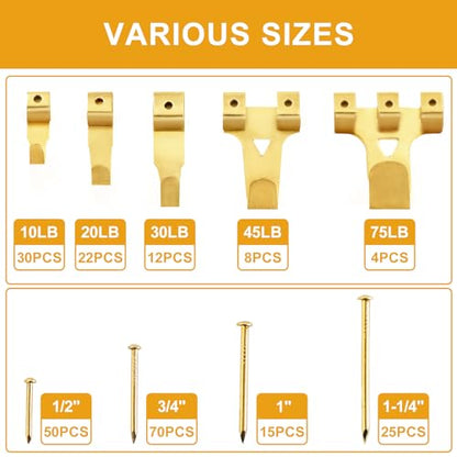 KURUI 303Pcs Picture Hanging Kit, Picture Hangers Assorted Kit with Heavy Duty Picture Hanging Hooks/Hardware Nails/Sawtooth/Wire/D Rings/Level, Metal Picture Wall Hooks for Frame Canvas Mounting - size: Gold