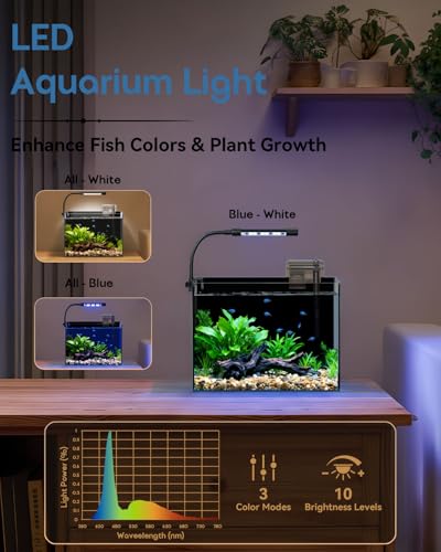 2.5 Gallon Nano Aquarium Starter Kit, Rimless Glass Fish Tank Kit - color: Black, size: 2.5 Gallon