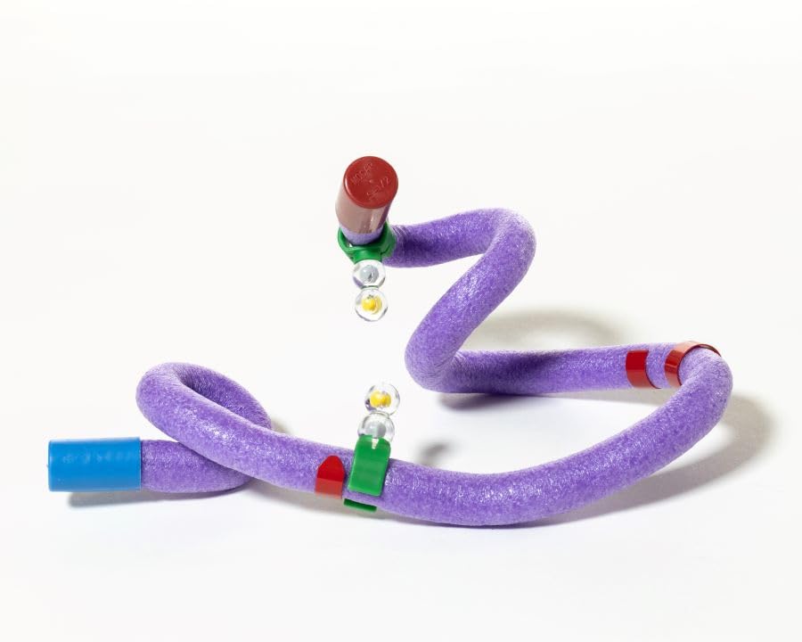 Insulin MRNA to Protein Kit© 6-Group Set