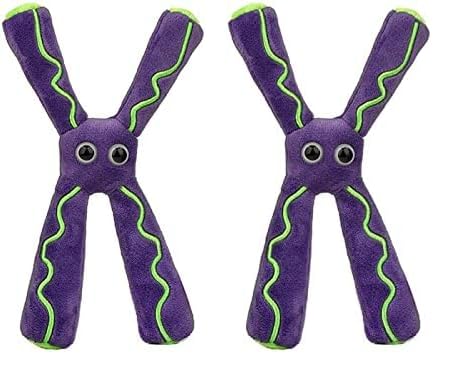 GIANT MICROBES Chromosome Plush, Genetics Gift, DNA Gifts, Genealogy, Ancestry Gift, Biology Plushies, Genetic Counselor, Forensic Science Gifts, Biology Models (Pack of 2) - size: 8 x 5 x 1.5 inches (Pack of 2)