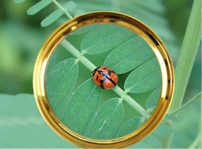 20X HD Magnifying Glass (Full Size-90mm) for Desktop, Collectors, Youth and The Elderly. Free Bonus, (3) Credit Card Sized Magnifiers for Shopping or dosing Medicine ($3.96 Value).
