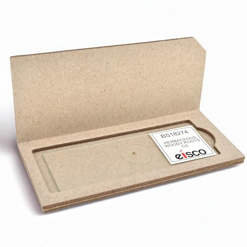 Eisco - Prepared Microscope Slide of Herbaceous Roots Cross Section 25x77mm Glass Slide with Stained Plant Tissue Structures
