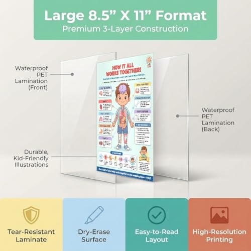 JELLY BEAN GENIUS Human Body Systems Poster – Laminated Dry-Erase Anatomy Chart for Classroom & Homeschool | How the Body Works Science Wall Poster 8.5x11 - color: How the Body Works