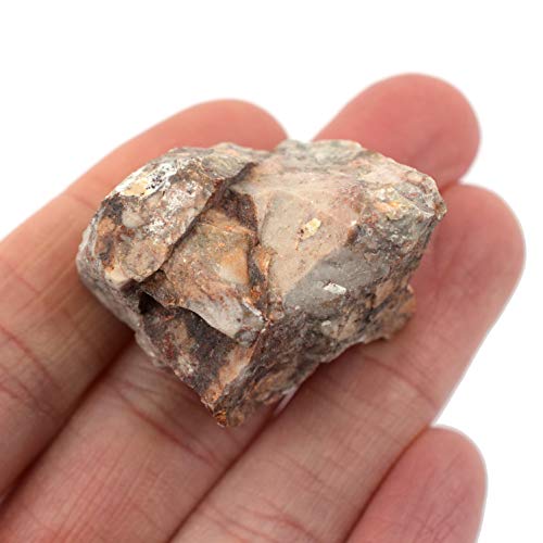 EISCO 12PK Raw Breccia, Sedimentary Rock Specimens - Approx. 1" - Geologist Selected & Hand Processed - Great for Science Classrooms - Class Pack