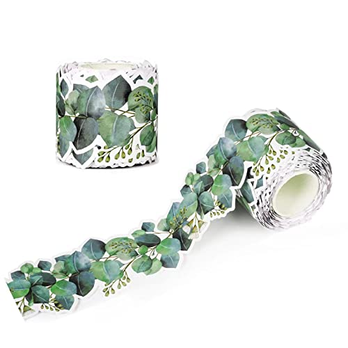 98Ft Eucalyptus Green Bulletin Board Borders Classroom Border Trim - size: 2 Rolls Eucalyptus