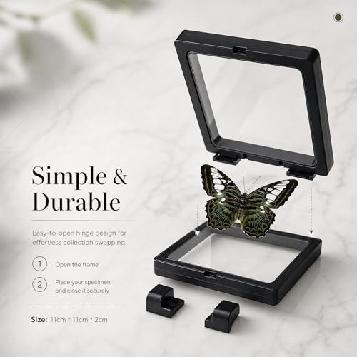 1pc Real Butterfly Specimen PE Film Suspension Box Elegant Black Frame Keepsake for Nature Lovers Scientific Specimen Display (Parthenos Sylvia Butterfly) - color: Parthenos Sylvia Butterfly