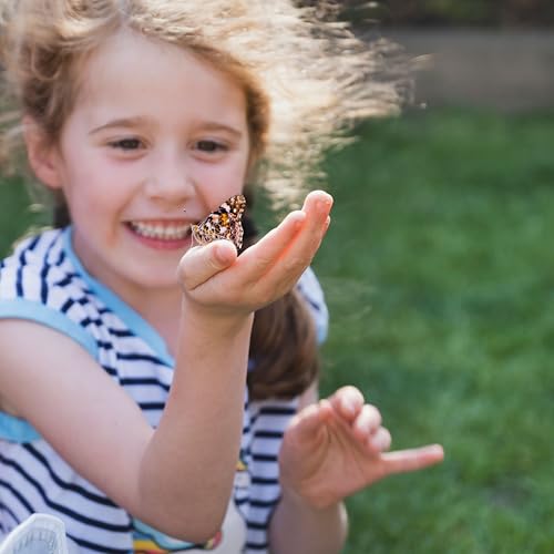 Insect Lore Live Butterfly Garden Growing Kit - 10 Live Baby Painted Lady Caterpillars - Dome Observation Habitat - Grow, Raise and Release Painted Lady Butterflies from The USA - style: Farm Habitat