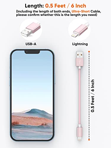 CableCreation USB A to Lightning Cable 6inch,iPhone Charging Data Sync Cord - color: Pink