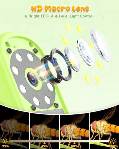Bug Catcher for Kids,Kids Microscope,3-in-1 Insect Catching Kit for Kid - color: Ligth green