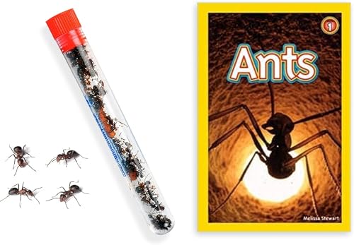 25 Live Ants for Ant Farms (1 Tube) with Educational Book Bundle - style: 25 Live Ants+Book