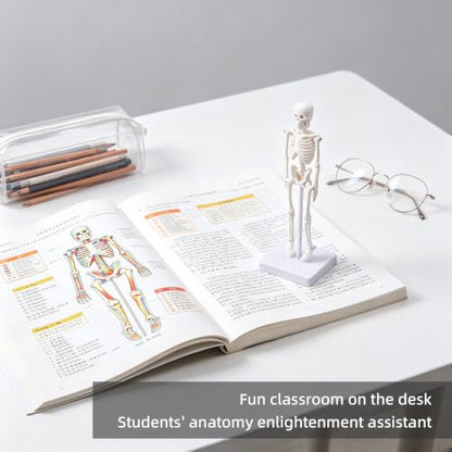 7.8" Mini Human Skeleton Model for Anatomy Learning, Small Anatomical Figure with Movable Joints for Student Teaching, Desk Display & Halloween Decor - size: 7.8 inches
