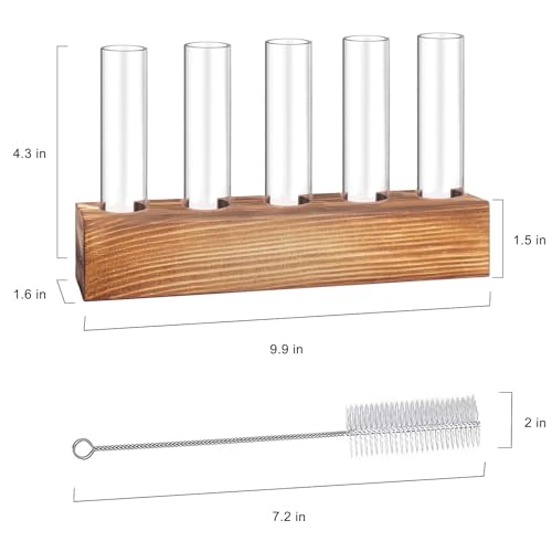 Renmxj Plant Propagation Station, 10 Glass Test Tube with Wooden Stand - size: 10 Test Tube