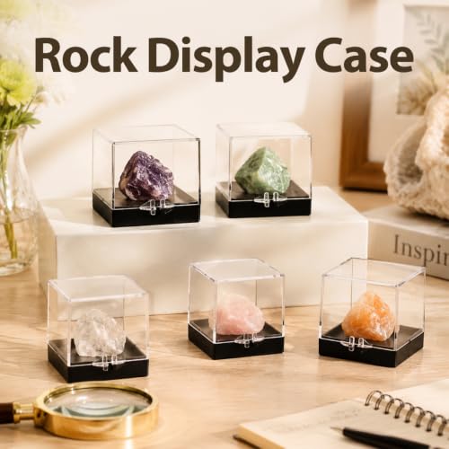 Cabilock 48 Pcs Mineral Specimen Rock Display Case Storage Boxes with Lids 5.51X1.37X1.37In Clear Display Cases for Rock Crystal Collection Organizing and Science Education - color: Black,Transparent x4pcs, size: 3.5X3.5CMx4pcs