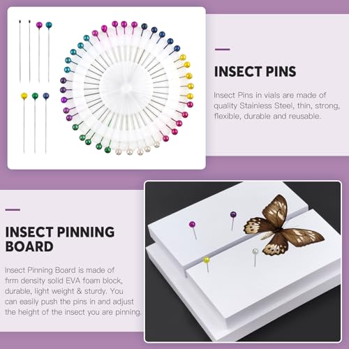 Swpeet 15Pcs Making Insect Specimen Tools Assortment Kit with Butterflies Specimen, Insect Display Case, Insect Pinning Wing Board, Scissors, Tweezer for Bug Hobbyist Biology Projects Classroom