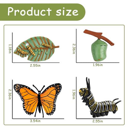 Mbrain 4pcs Butterfly Growth Cycle with Flash Cards,Life Cycle Learning & Education Toys,Montessori Toys,Gift for Girl & Boy for 3 4 5 6 7 Year Old (Butterfly) - color: Butterfly