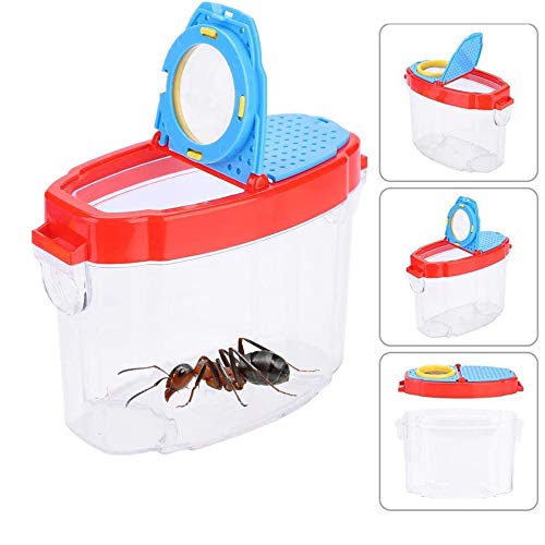 alfyng Insect Viewer Magnifier Catcher, Bug Catchers and Viewer Microscope, Science Nature Exploration Animals Collection Box Tools for Backyard, Outdoor, Camping and Hiking