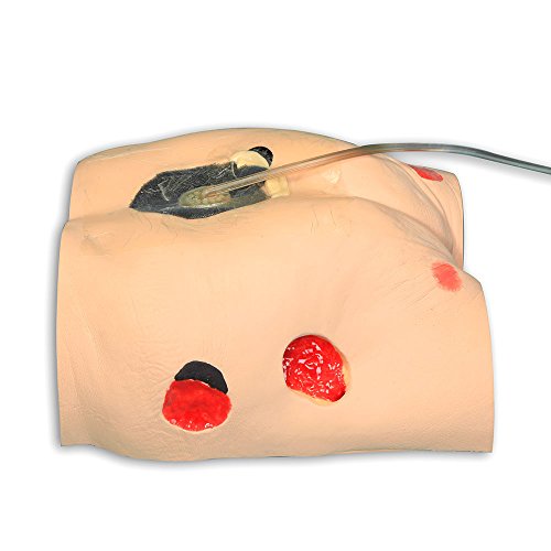 VATA Seymour II Wound Care Model