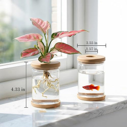 Propagation Stations,Plants Propagation Station Desktop Plant Terrarium Glass Hydroponic Vases, Water Plant Jars, Gardening for Women Mom Plant Lovers,1Pcs