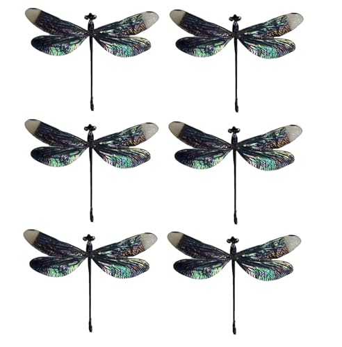 6 Real Black Dragonfly Specimens Mounted Insect Taxidermy Collection BO85X6 - color: 6 Real Beetle #85