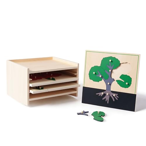 Premium Montessori Botany Puzzle Cabinet with 3 Puzzles | Tree, Flower, Leaf Kids | Science & Nature Learning Toys | MDF & Plywood Material for Classroom Homeschool Toddlers 3+