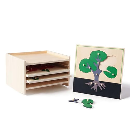 Premium Montessori Botany Puzzle Cabinet with 3 Puzzles | Tree, Flower, Leaf Kids | Science & Nature Learning Toys | MDF & Plywood Material for Classroom Homeschool Toddlers 3+